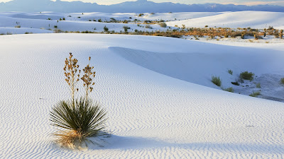Desierto de arenas blancas