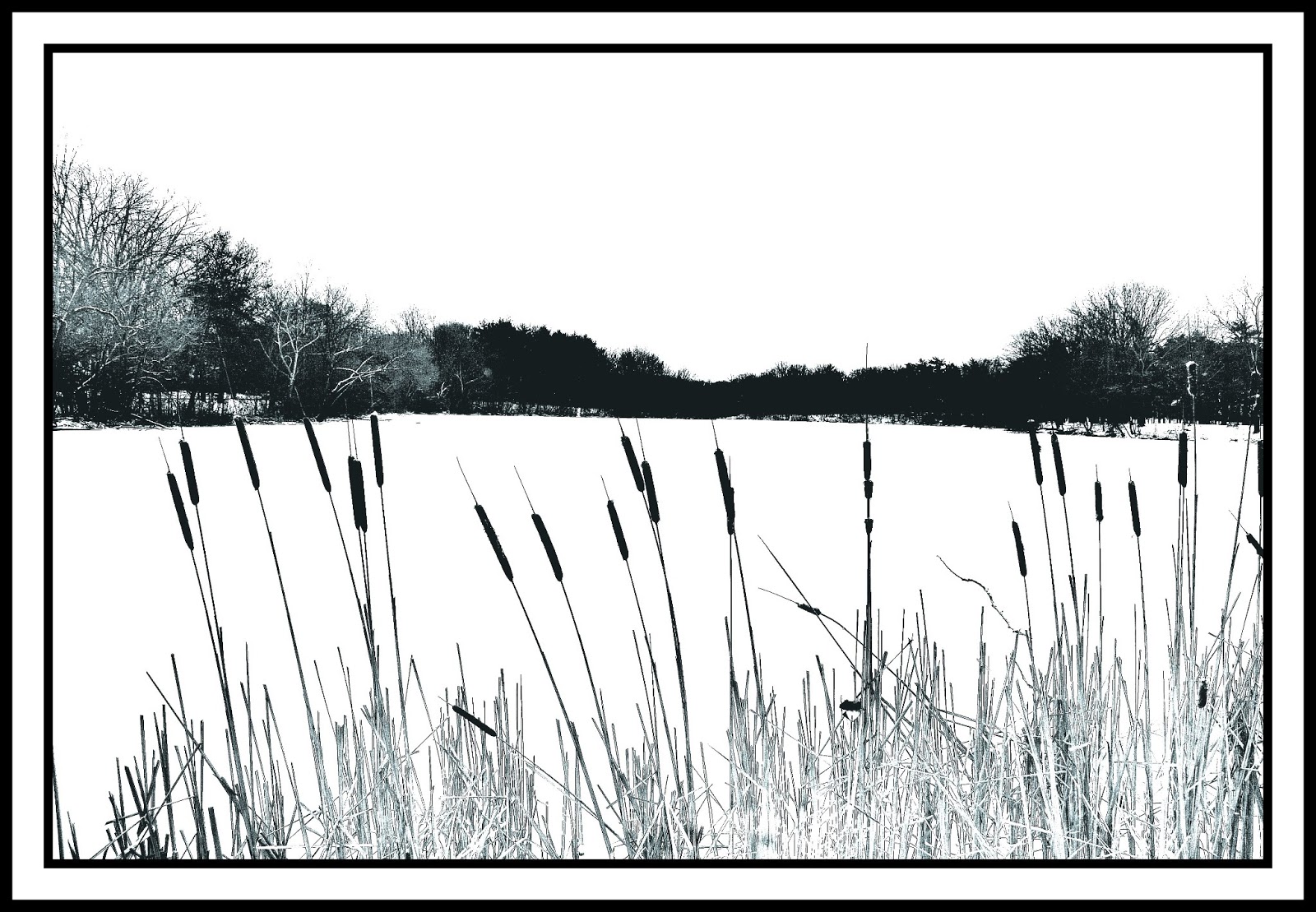 Fragments of Grace Lower Lake