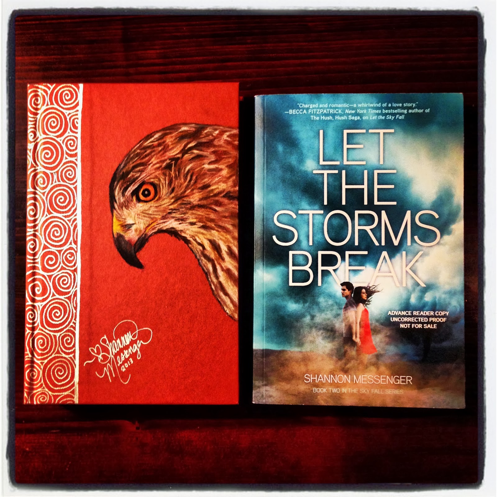 LET THE SKY FALL SuperFan Giveaway