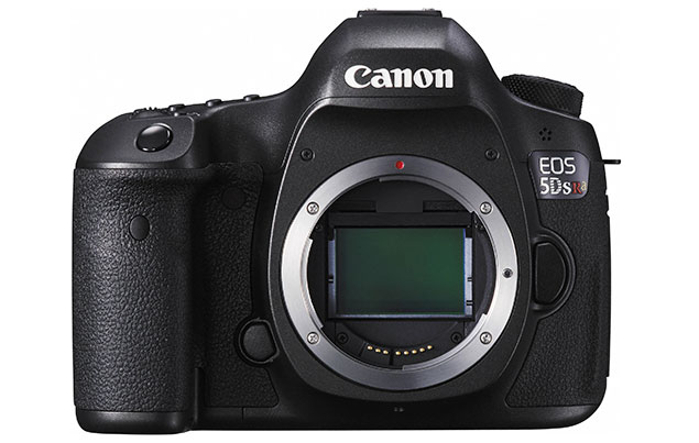 Michael Daniel Ho - The Wildlife Ho-tographer: Canon Full Frame