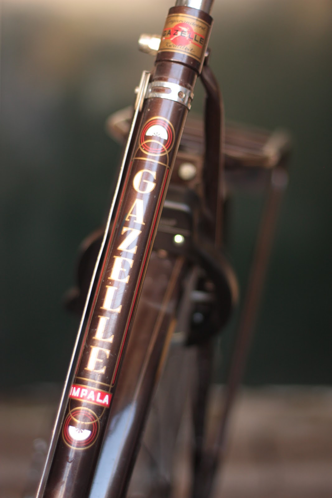 what to buy a bike enthusiast