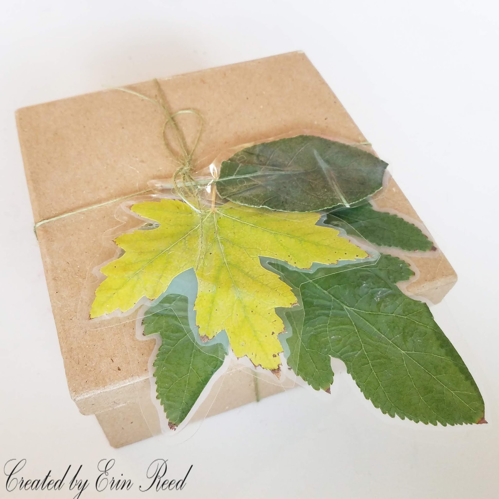 Erin Reed Makes 4 Fun Ways to Use Laminated Leaves