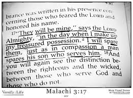 My special possession essay picture