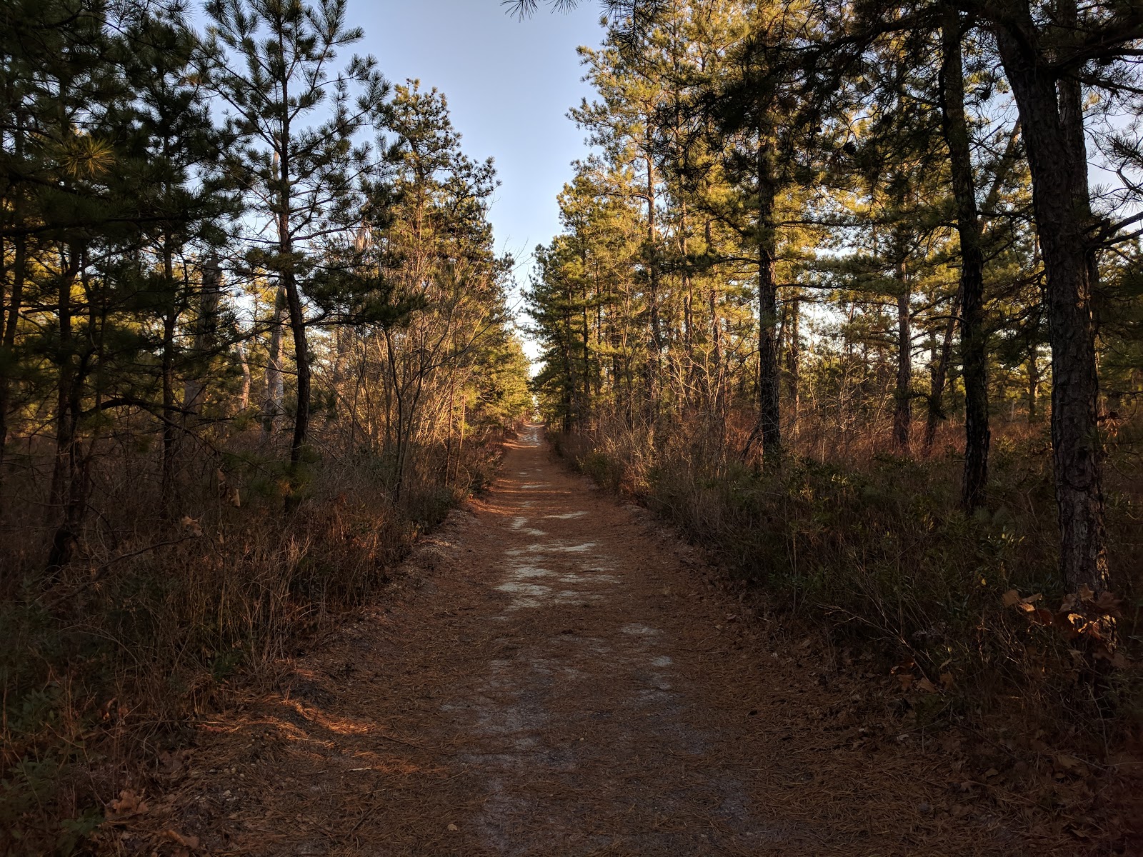 Live free or die ПайнБерренс, НьюДжерсі (Pine Barrens, NJ)
