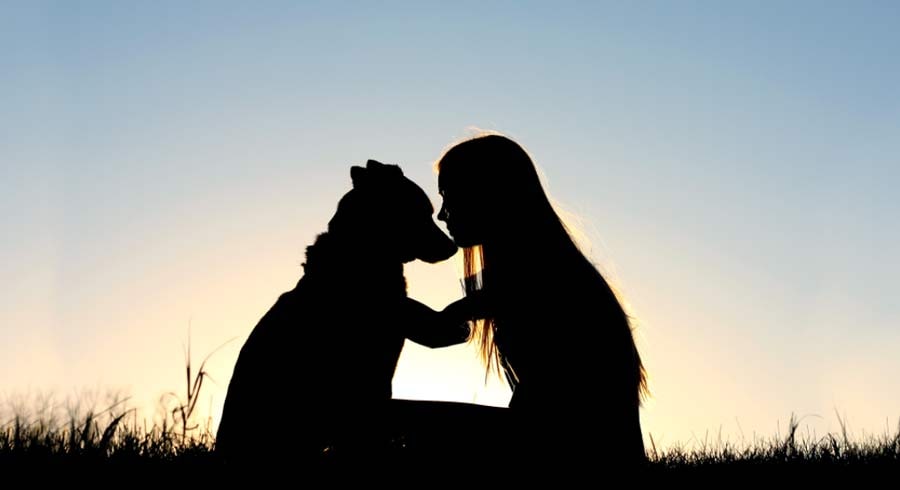 Cómo desarrollar el amor incondicional y aprender a amar todo lo que existe Cómo desarrollar el amor incondicional y aprender a amar todo lo que existe