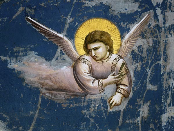 Giotto's Angel