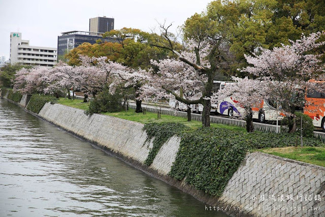 廣島和平紀念公園櫻花&本通商店街