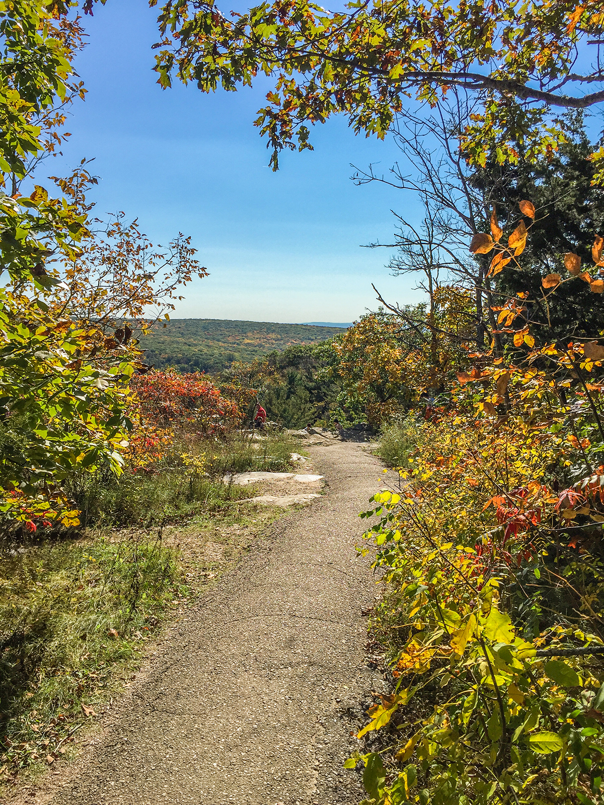 West Bluff Trail at Devils Lake State Park