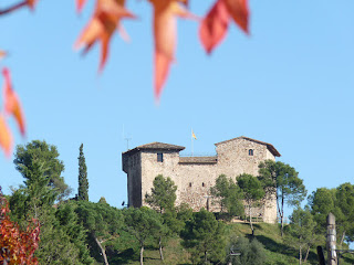 Imatge del Castell de Plegamans