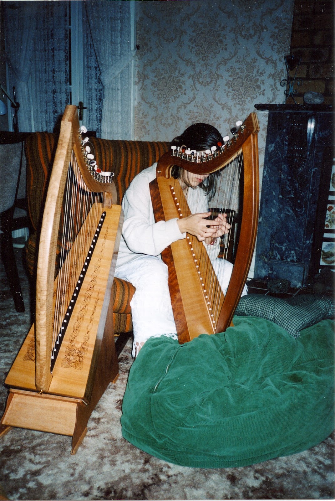 Wayward Harper A Tale of a Painted Harp