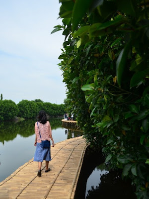 mangrove taman maerokoco prpp semarang