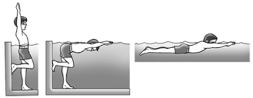 4 Teknik Dasar Renang Gaya Dada Freedomsiana