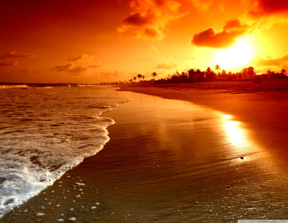 Beach Sunrise Wallpaper | Best Wallpapers HD Gallery
