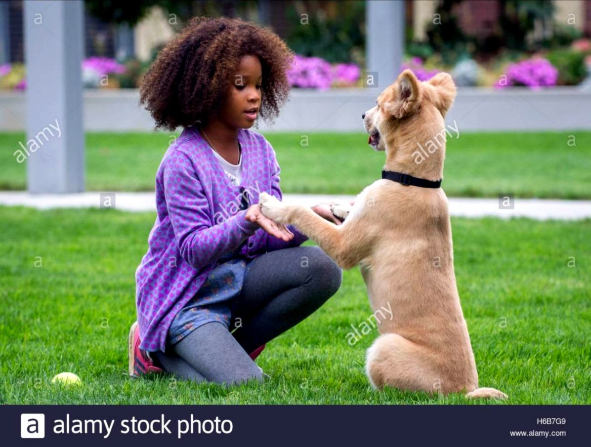 QUVENZHANE WALLIS ANNIE 2014 Stock Photo 124407929 Alamy