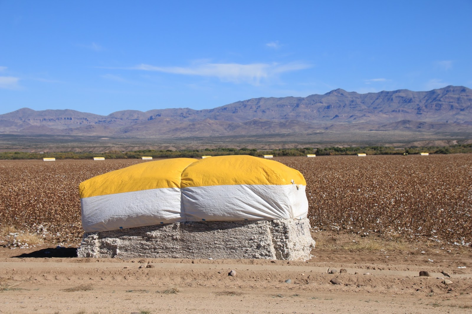 Travels with Twinkles Safford, Arizona on the Salsa Trail