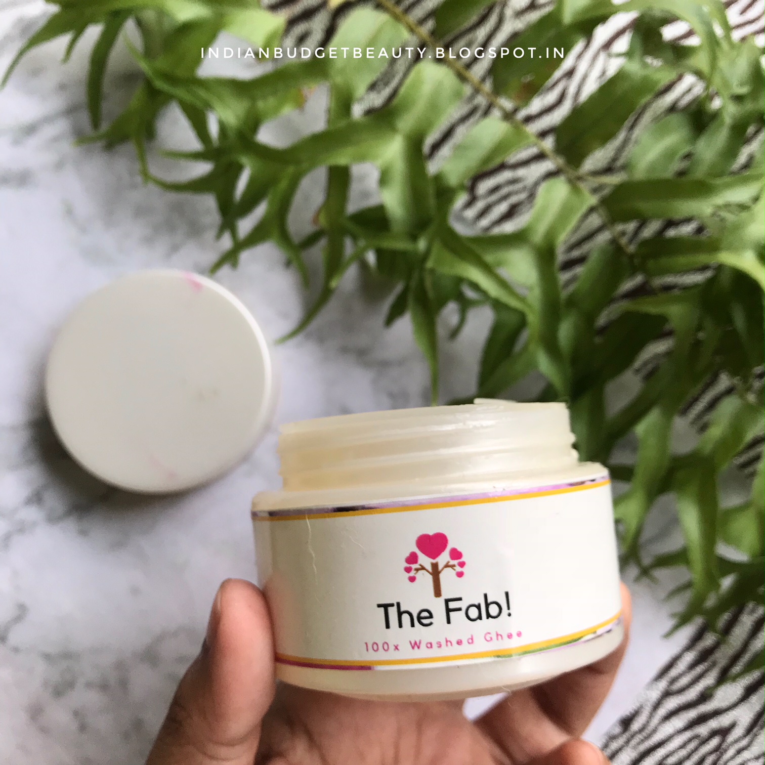 The Fab 100x Washed Ghee Moisturizer REVIEW Indian Budget Beauty Indian Makeup, Beauty