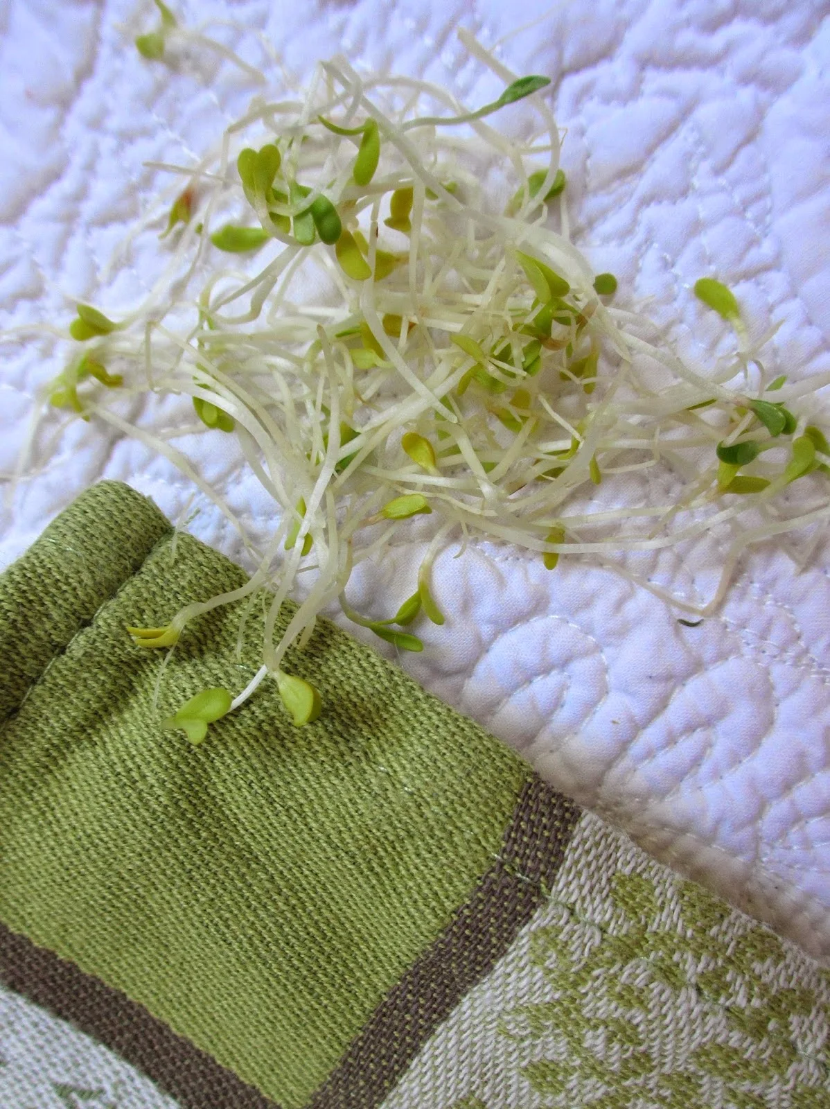 COOKING JULIA : SALADE DE COURGETTES CRUES