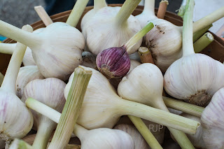 Garlic for days!