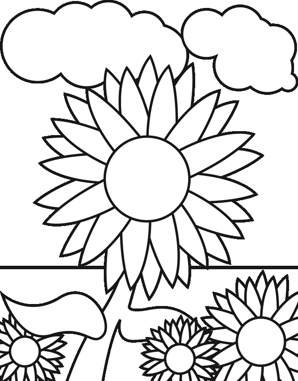 92 Terpopuler Sketsa Daun Bunga Matahari Sketsa Bunga