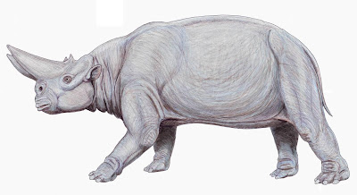 mamiferos prehistoricos gigantes Arsinoitherium
