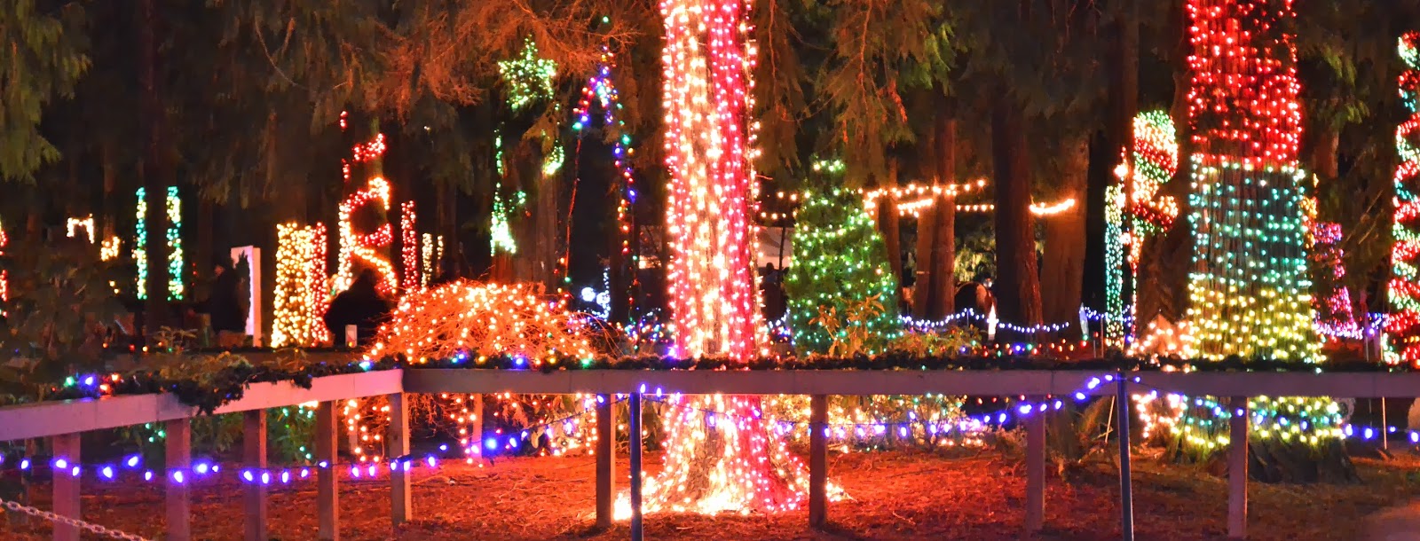 Fresh Vintage Home The Lights of Christmas on Camano Island