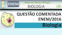 Questão comentada de Biologia do ENEM