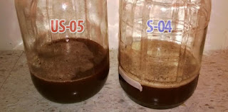 S-04 與 US-05 酵母之差異比較