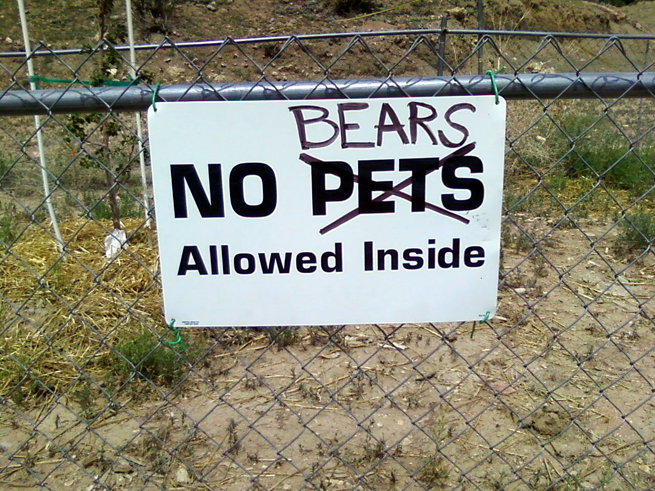 Polishing The Double Wide Turd Bear vs. Compost Bin