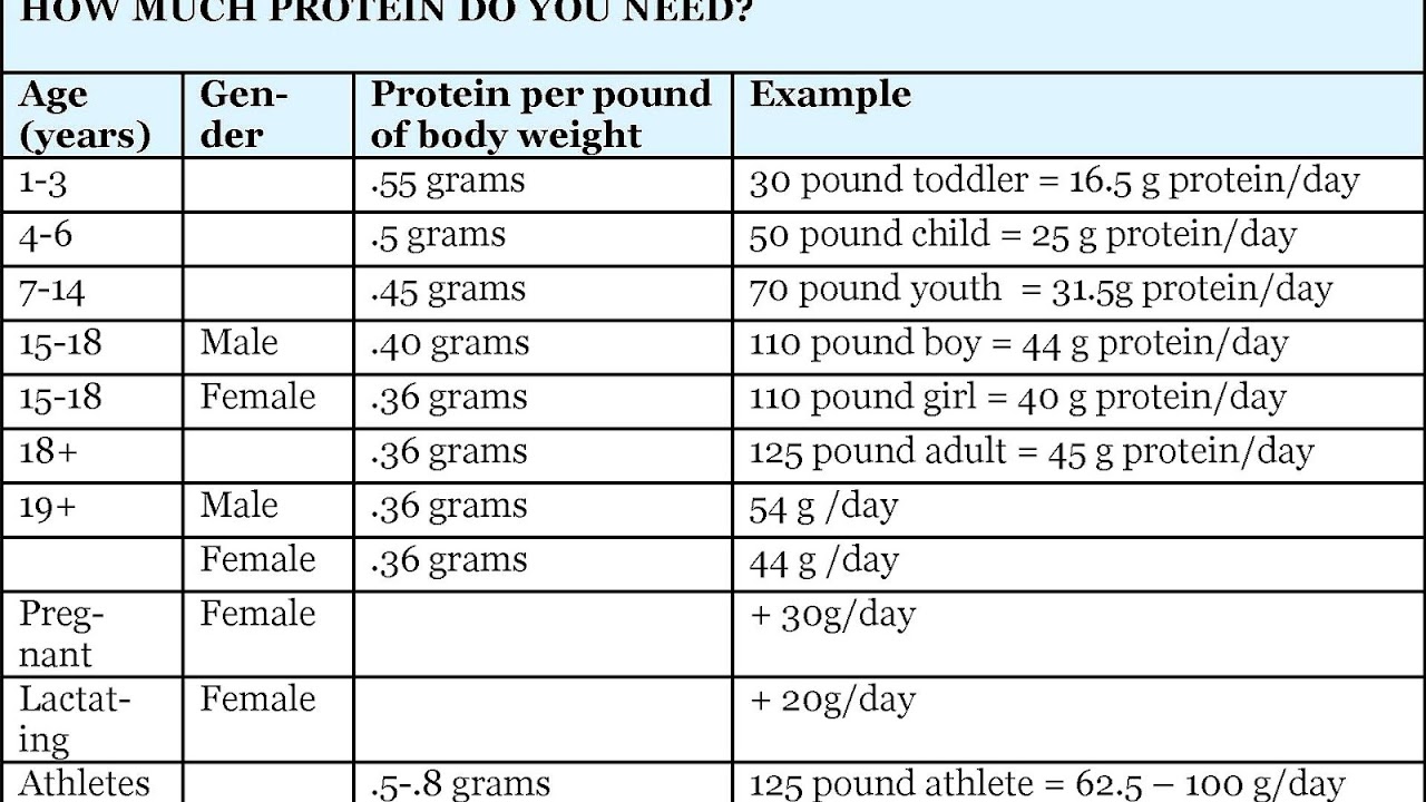 How Much Protein Does A Woman Need To Lose Weight Protein Choices