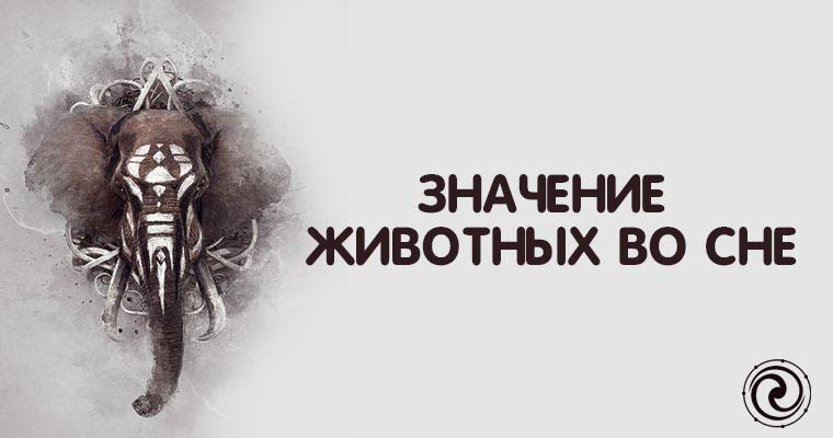 Зверь значение слова. Зверь значение слова