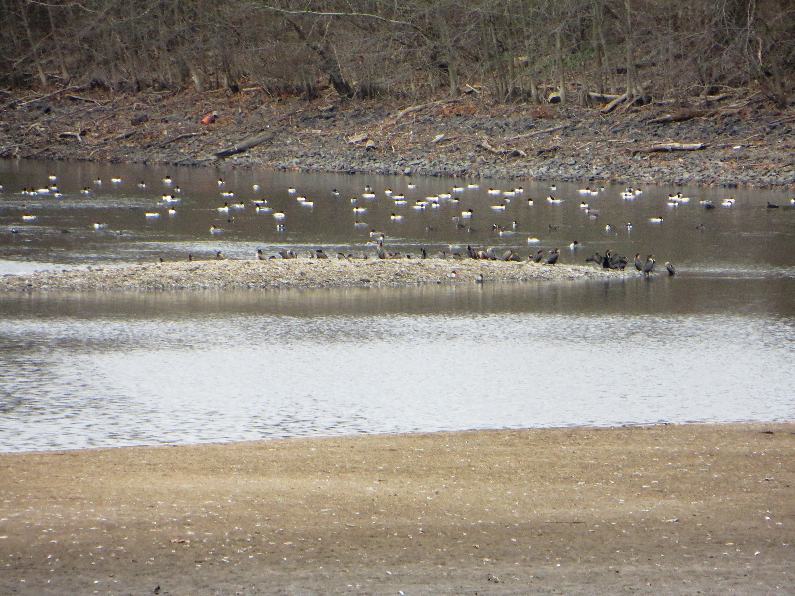 TM Gallery emerson woods oradell reservoir