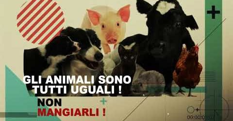 AMI GLI ANIMALI? ALLORA NON MANGIARLI !