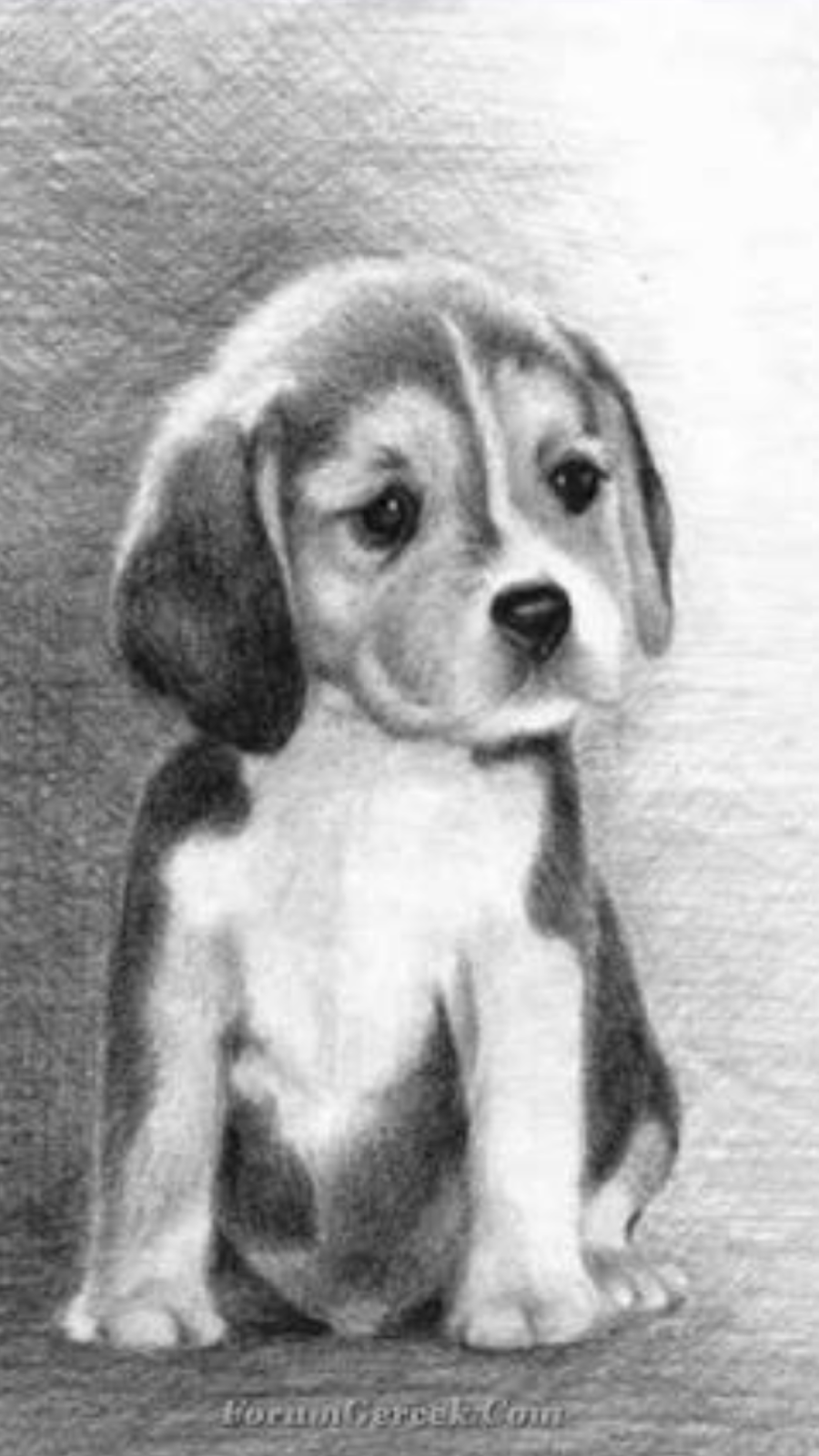 Нарисовать животных простым карандашом. Рисунки животных. Собака рисунок. Собака рисунок карандашом. Рисунок собаки для срисовки.