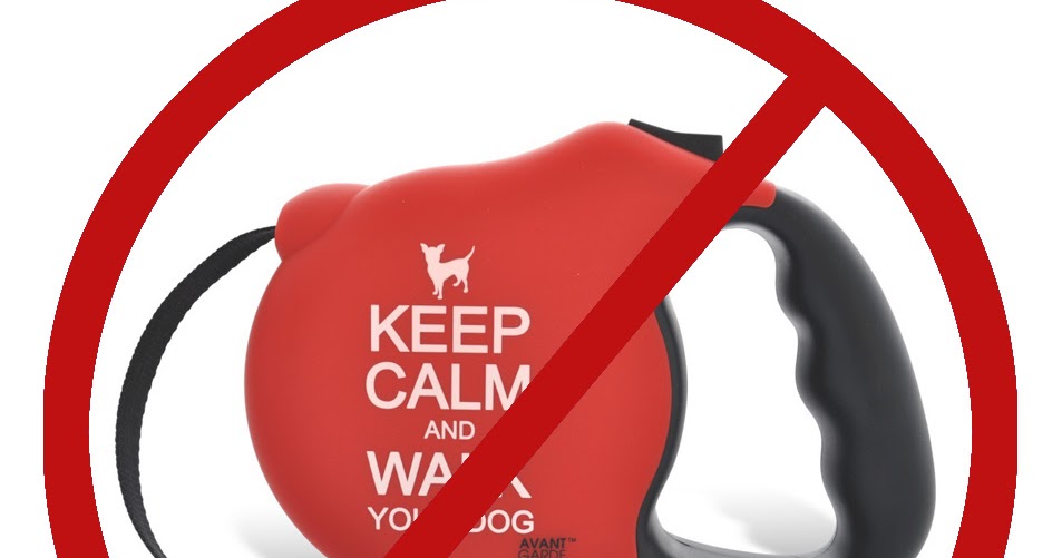 Retractable Leash Safety