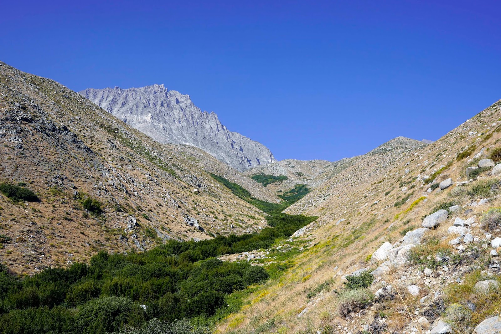 Mid Sierra Musings The Birch Lake Trail On And Off