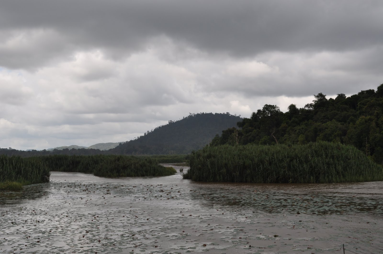 AKU DIA DAN LAGU: Lagenda Tasik Chini