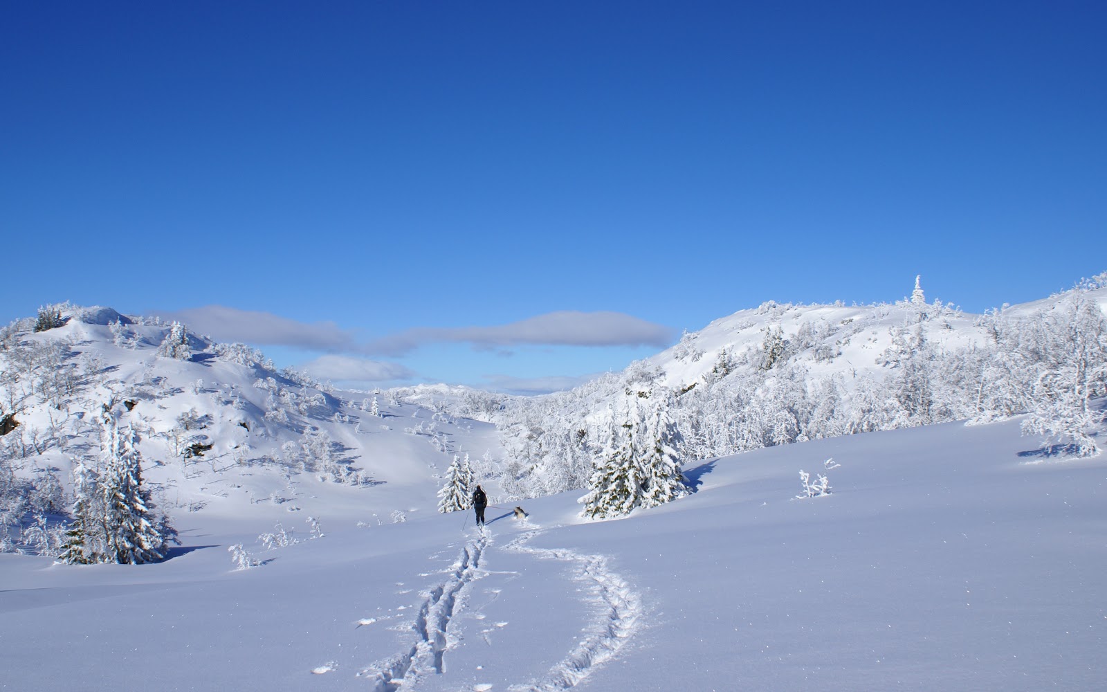 Photography Available: nature-wallpapers-HD Walpepar