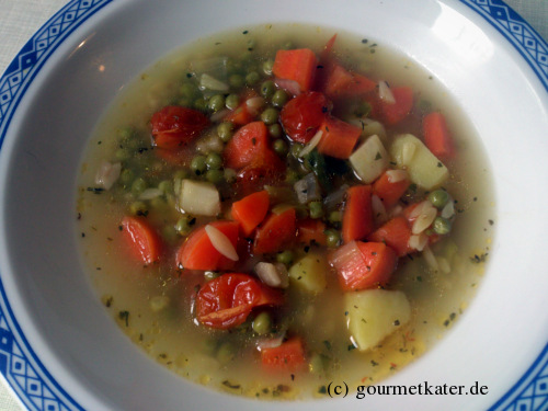 Nudel-Suppe