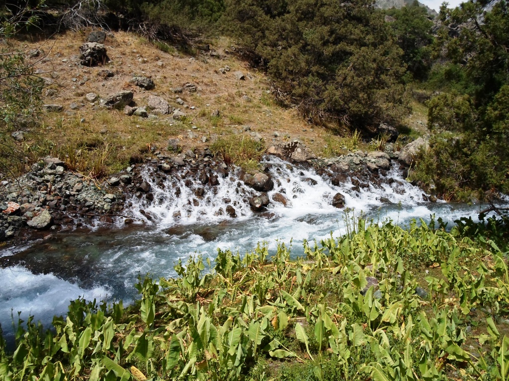 Дом отдыха каратаг таджикистан