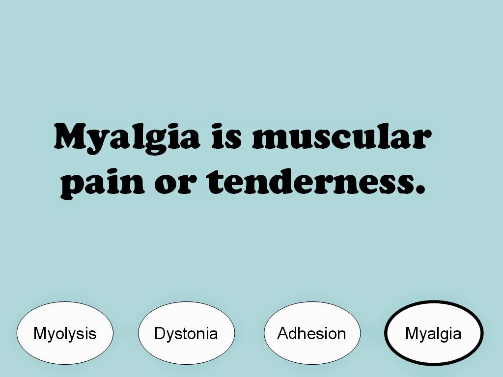 Student Survive 2 Thrive Muscular System Practice Test