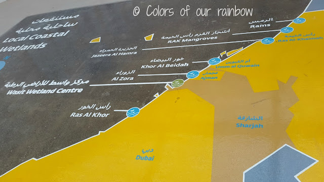 WASIT WETLAND CENTRE SHARJAH (UAE) - An amazing winter break trip for kids.@http://colorsofourrainbow.blogspot.ae/