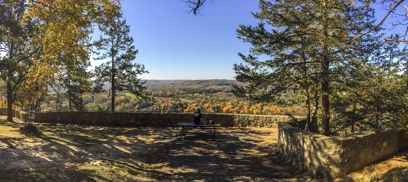 Overlook at Wildcat Mountain State Park in Ontario WI