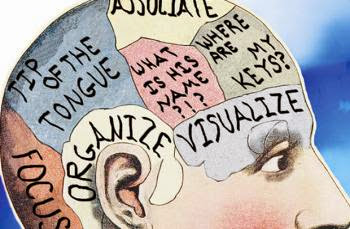 Ζώδια και μνήμη