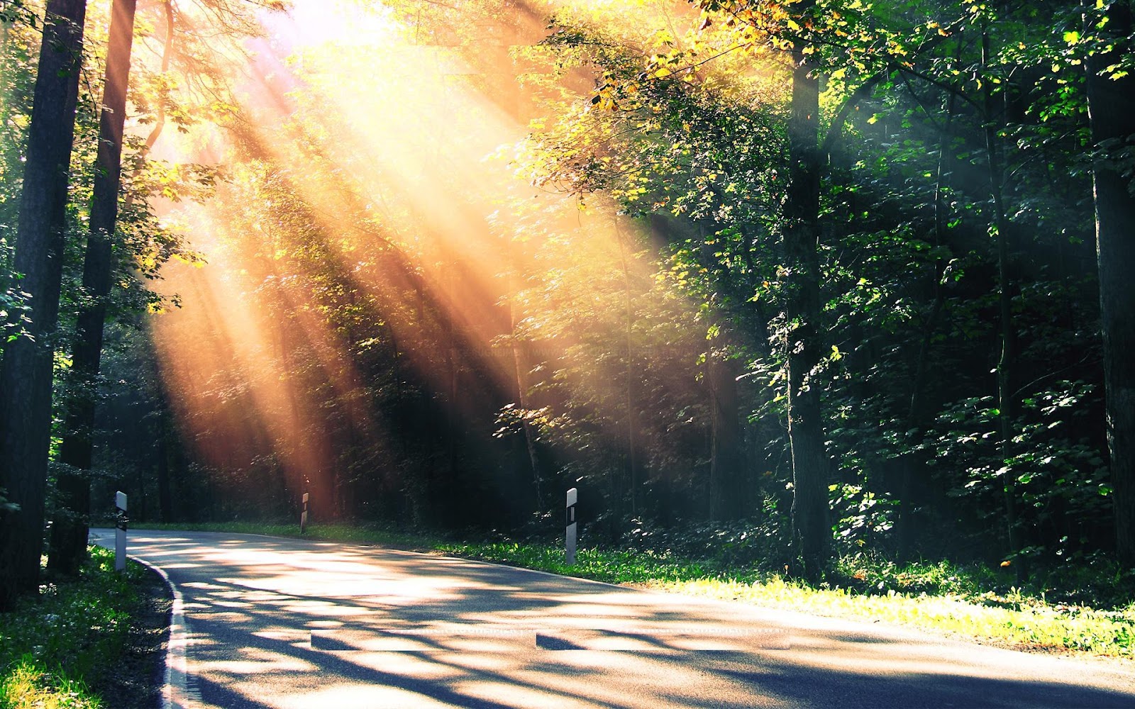 Top 35 Beautiful And Fabulous Paths Wallpapers In HD