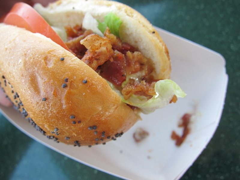 Review Sonic Bacon & Blue Dog