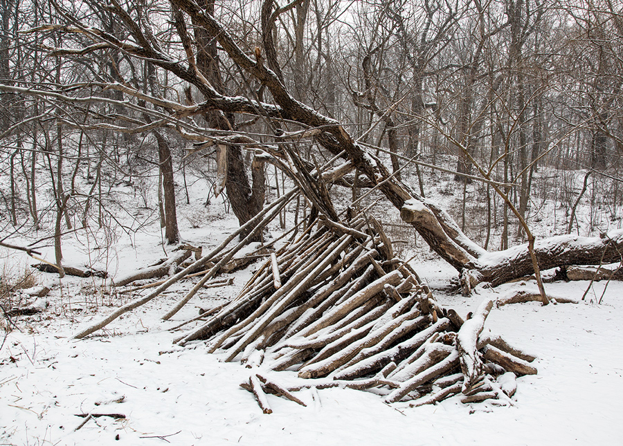 Wilderness station essay 07 picture