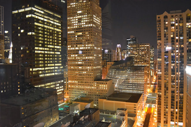 view from the wit rooftop chicago