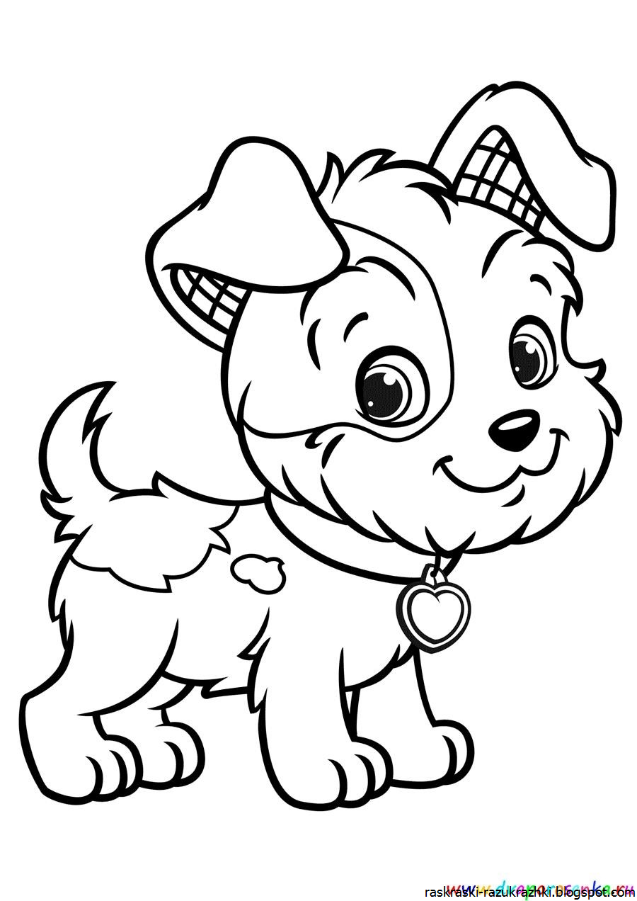 Собачка Раскраска Для Детей 3 4