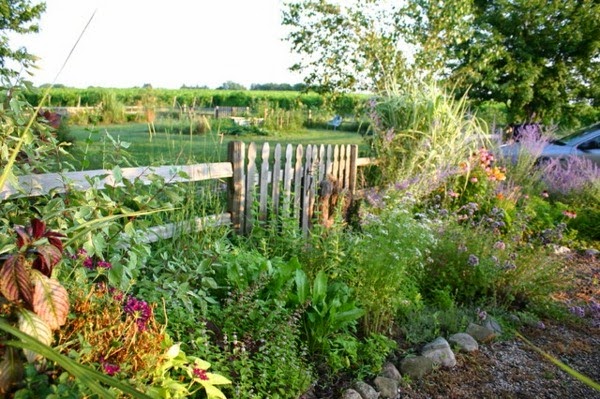 Ideas for garden design for beginner