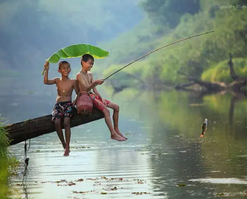 99 Arti Mimpi Mancing Belut Togel Menurut Primbon Islam Hindu Dan Kristen Arti Mimpi Mancing